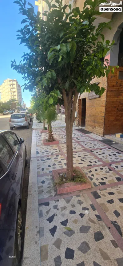 تجاري 277م2 للبيع بمرجان 2 مكناس - 3 واجهات وموقع استراتيجي 4
