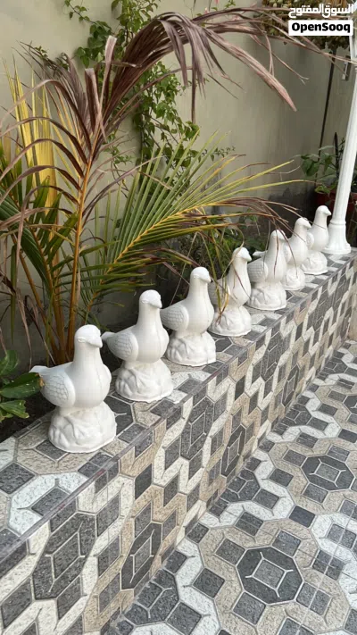 طيور زينه بالجبس 3