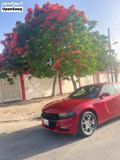 Dodge Charger R/T 3