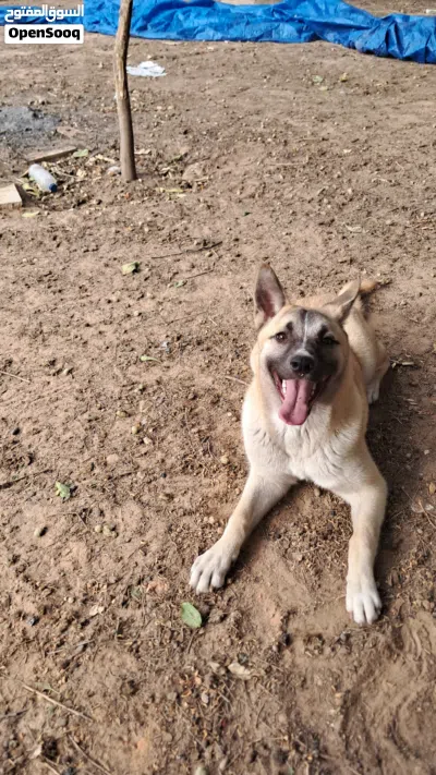undefined 3
