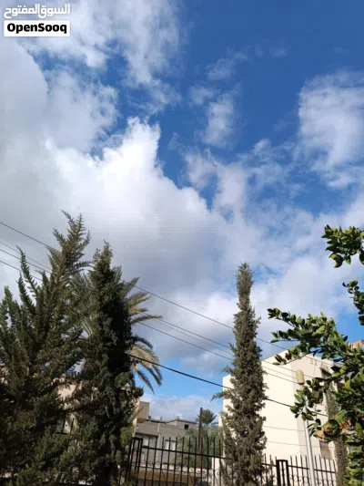 شقة للأيجار .. بشرط عائلة 3