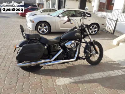 Harley Davidson Street Bob 2