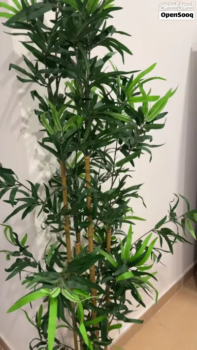 شجرة بامبو اصطناعيه 4