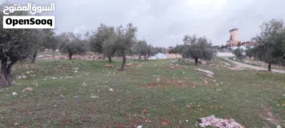 ارض للبيع في المفرق 3