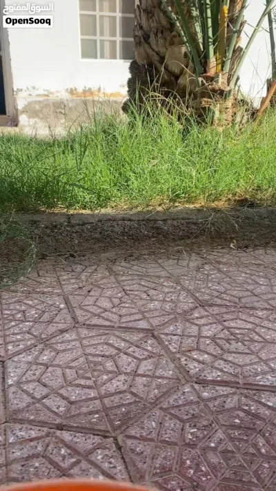 جهاز جز اعشاب يعمل بشحن 2