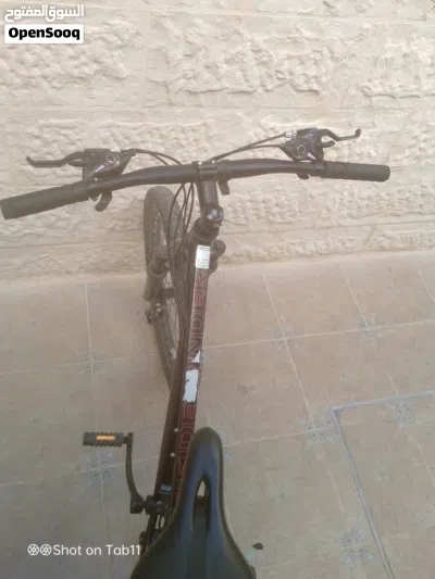 Schwinn Mountine bike 3