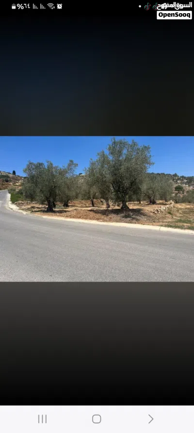 ارض للبيع في بيرزيت المساحه دولم صناعي تجاري صالحه لكل المشاريع السعر 120 الف دينار 2