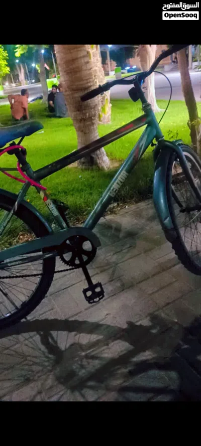 urgent sale bike cycle very good condition. breaks okay, all ok condition Good, with new wire Lock 3