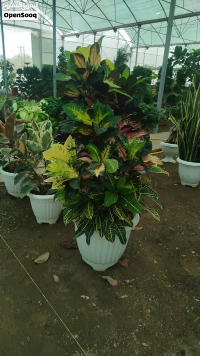 undefined 4