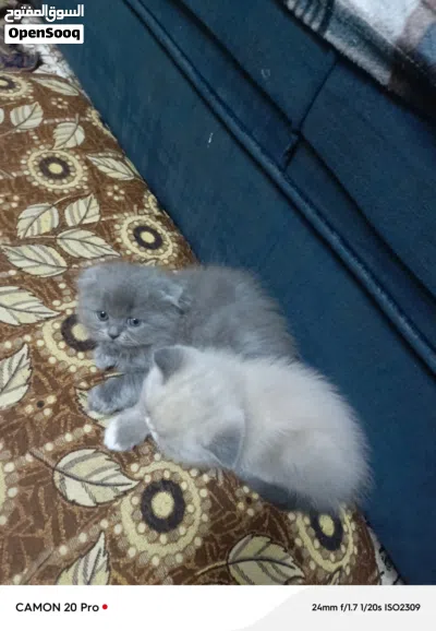 undefined 2