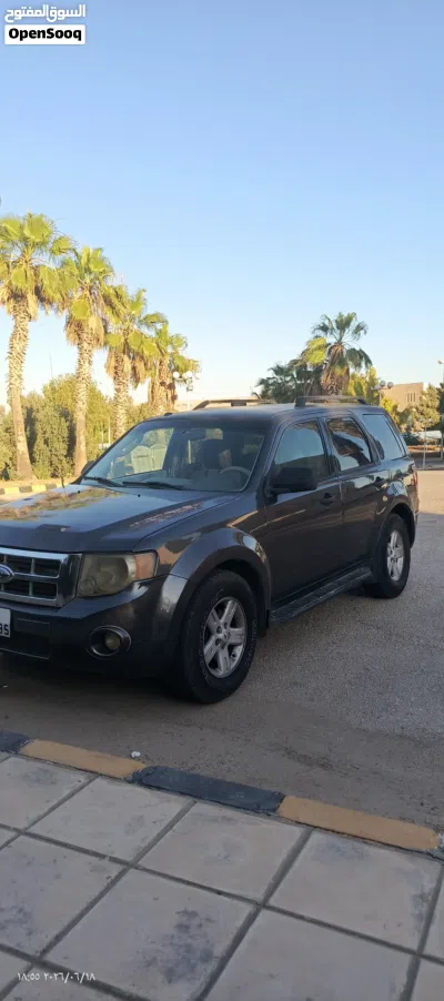 Ford Escape Standard 2