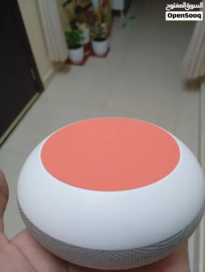 Google mini smart 2