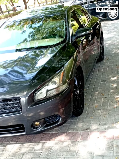 Nissan Maxima Standard 4