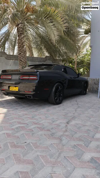 Dodge Challenger R/T 4