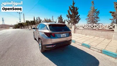 Hyundai Tucson GL 4