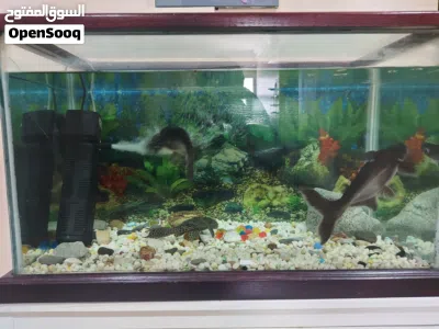 undefined 4