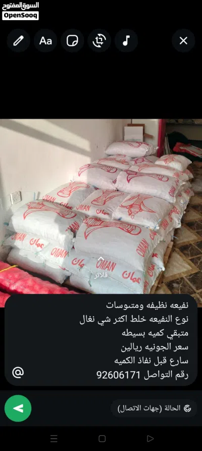 نفيعه أبو دله 4