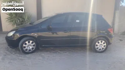 Peugeot 307 Standard 2