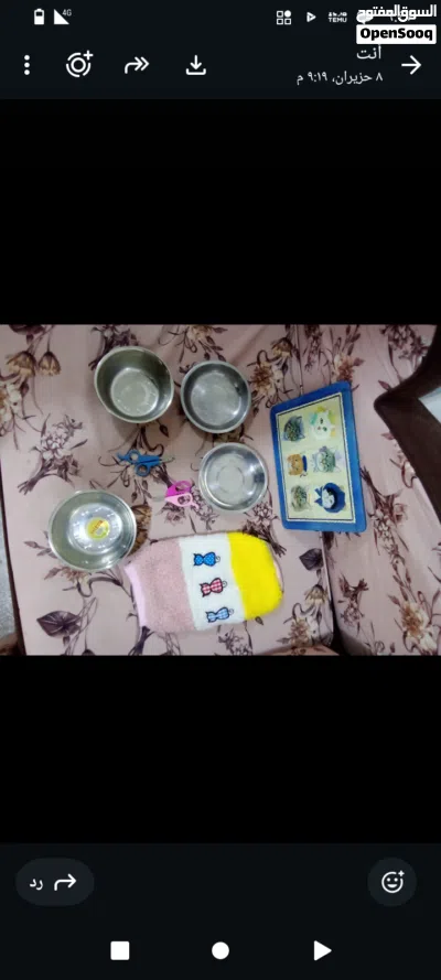 اكسسوارات قطط 3