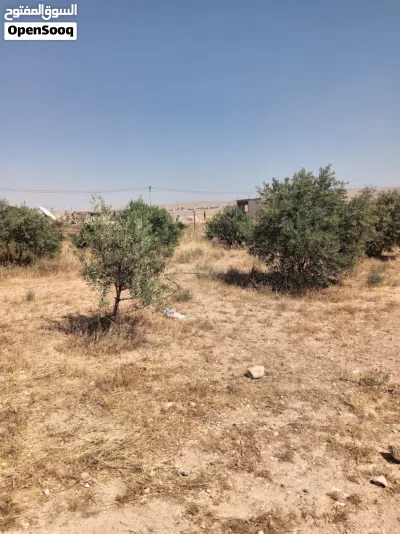 بيت مستقل للبيع 2