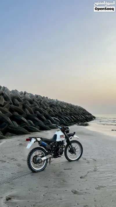 Yamaha FZ6R 3