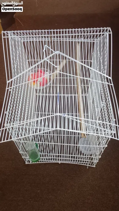 3 three bird cages 2