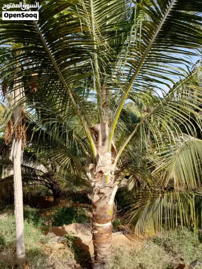 undefined 2