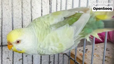 undefined 2