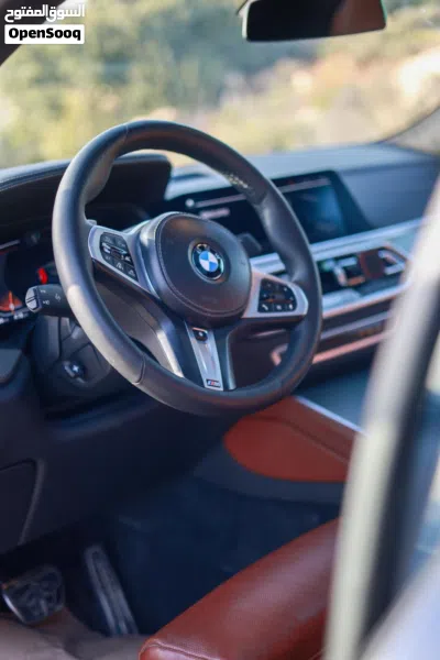 بي ام دبليو الفئة X6 X6 xDrive40i 3