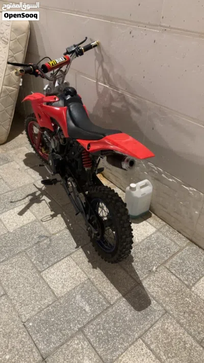 كروز 125cc تيواني موديل 2025 2