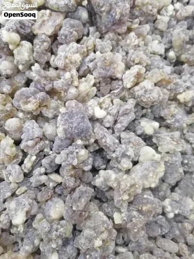 لبان حوجري للبخور بسعر مناسب ومتوفر اسعار خاصه للجمله.. 2