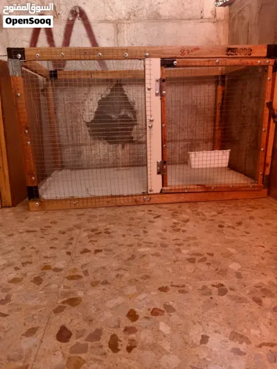 undefined 2
