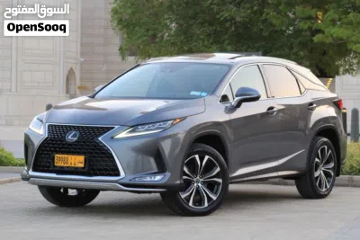 Lexus RX RX 350 Luxury 4