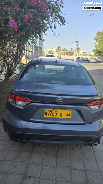 Toyota Corolla SE 3