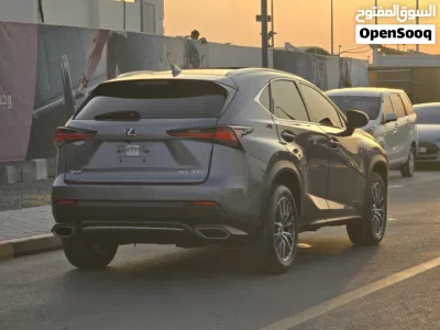 Lexus NX NX 300 4