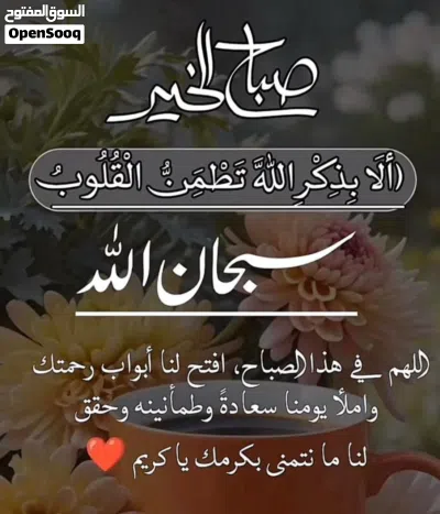 مطلوب شقة بجانب عمارات السكة السراج طريق جامع الصحابة للاستبدال بقطعة ارض 2