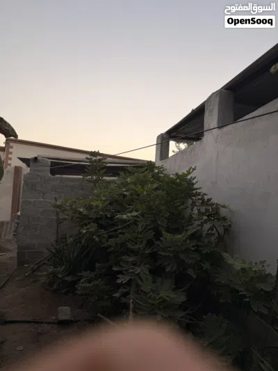 مزرعه للبيع مع منازل 2