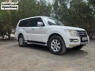 Mitsubishi Pajero Standard 3