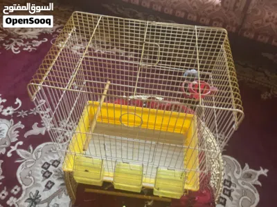 قفص لي الطيور لي البيع قابل لي التفاوض 2