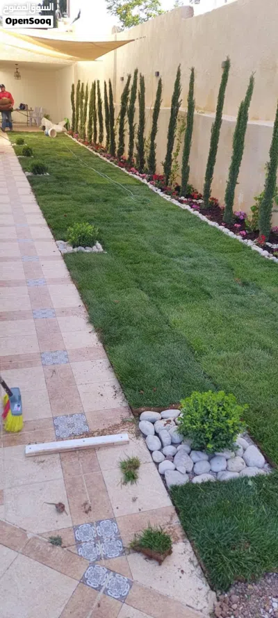 بسم الله الرحمن الرحيم حرق الأسعار علا النجيل m5الامريكي نخب اول سعر المتر 6د مزروع جاهز تواصل 4