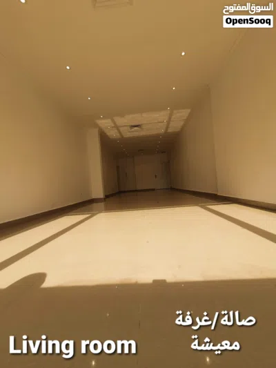 undefined 3