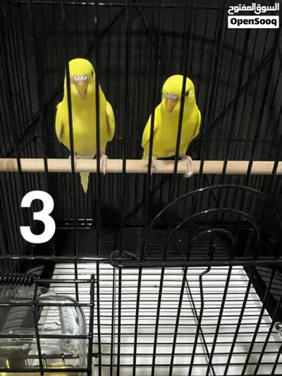 undefined 3