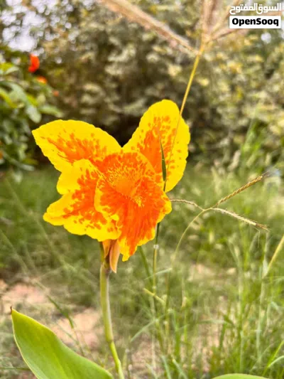 undefined 2