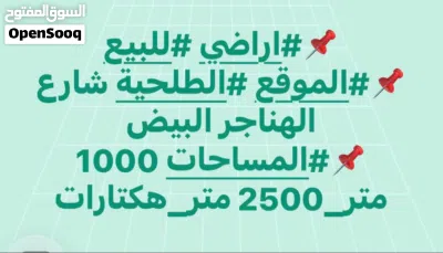 عروض في الطلحية من 1000 متر الي هكتارات فرعي ورئيسي 2