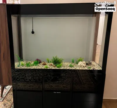 undefined 2
