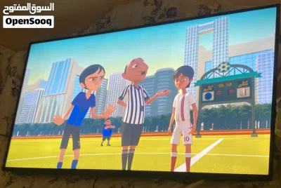شاشة تلفزيون 65 دانسات/DANSAT 2
