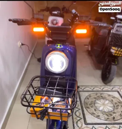 QJmotor Commute 2
