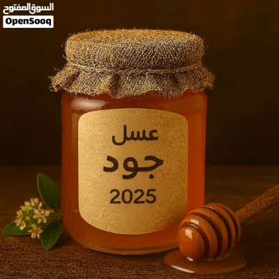 نخلصكم من النحل والدبابير التي تسكن الاباجورات والشبابيك والحدائق المنزلية 3