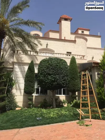 تقليم جميع انواع الاشجار 2