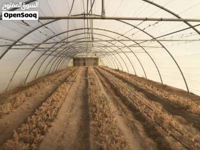 محميات مبردة للبيع او الاستثمار 2